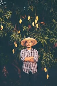 Bapak Darto