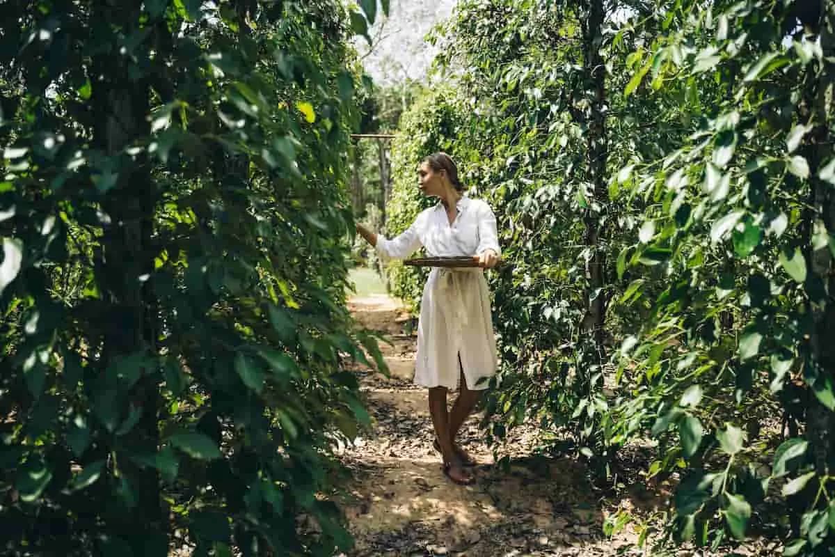 woman and plants